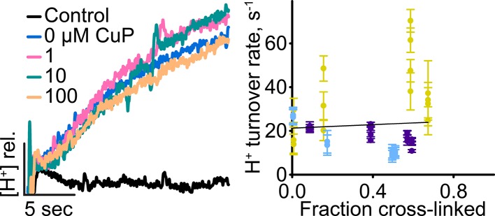 Figure 6—figure supplement 1.