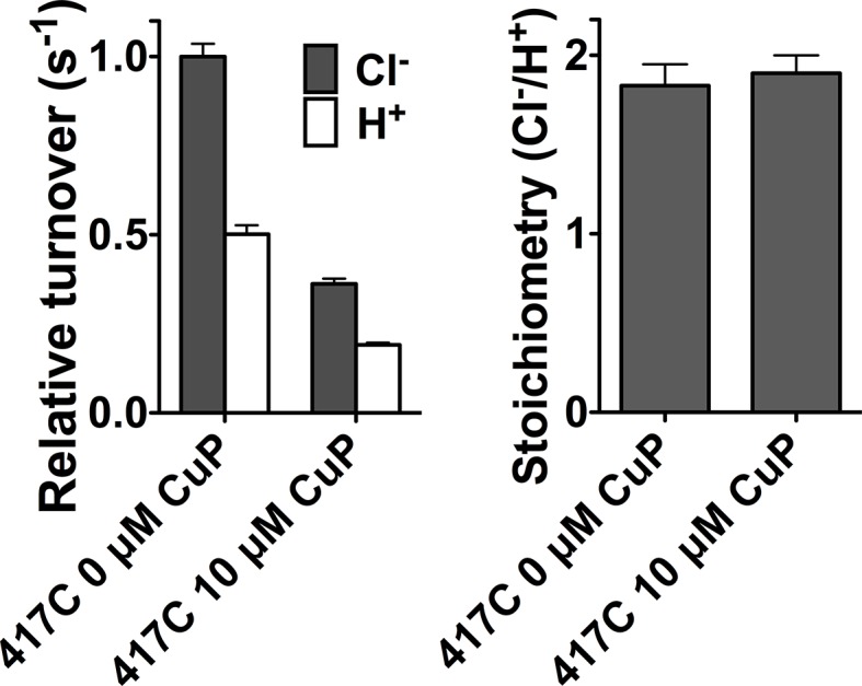 Figure 4—figure supplement 2.