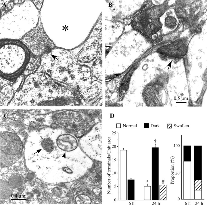 Fig. 8.