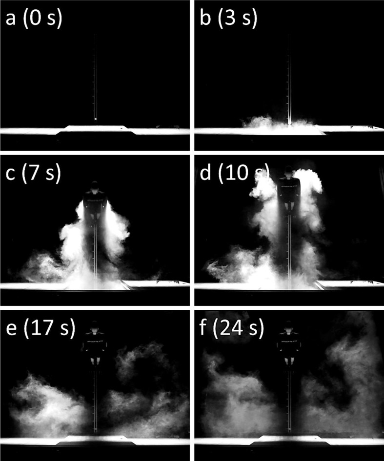 Fig. 11