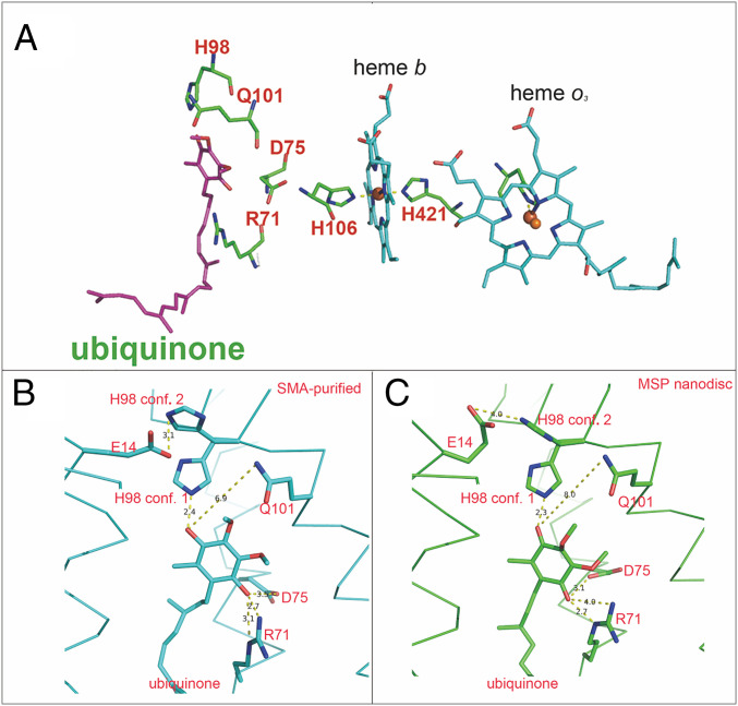 Fig. 4.