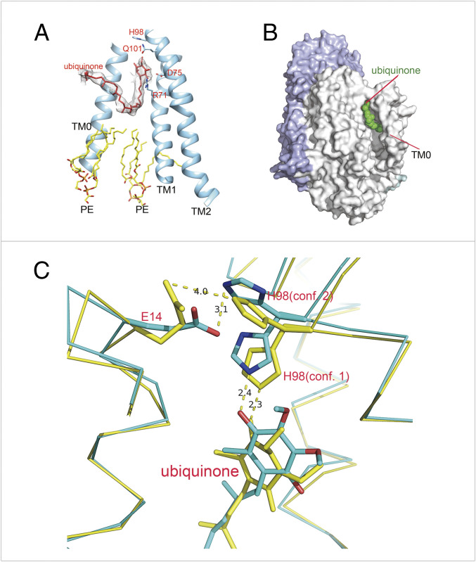 Fig. 3.