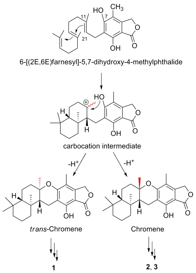 Scheme 1