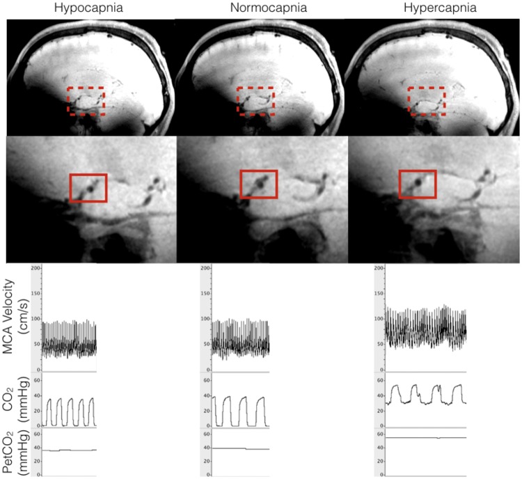 Figure 3.