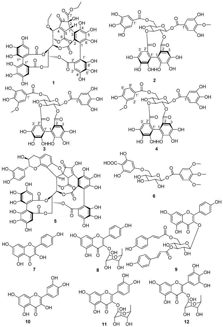 Scheme 1