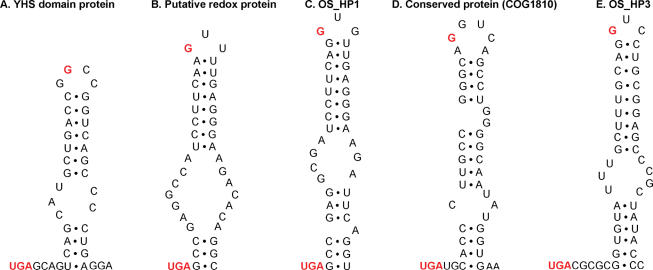 Figure 5.