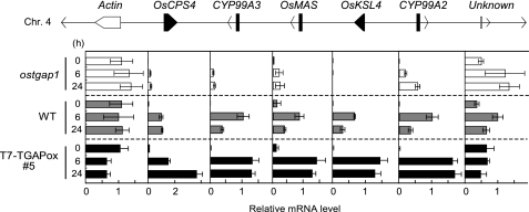 FIGURE 7.