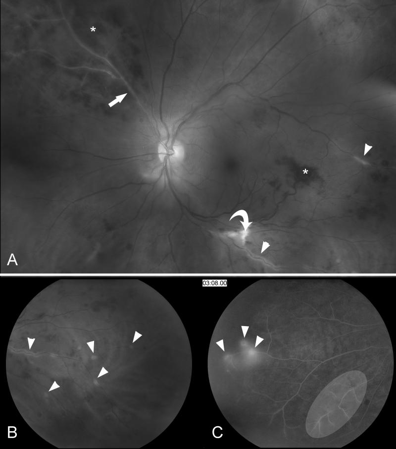 Figure 10