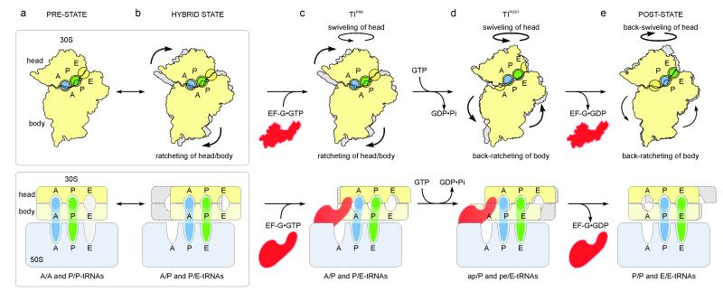 Fig. 4