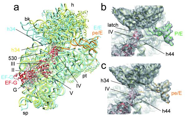 Fig. 3