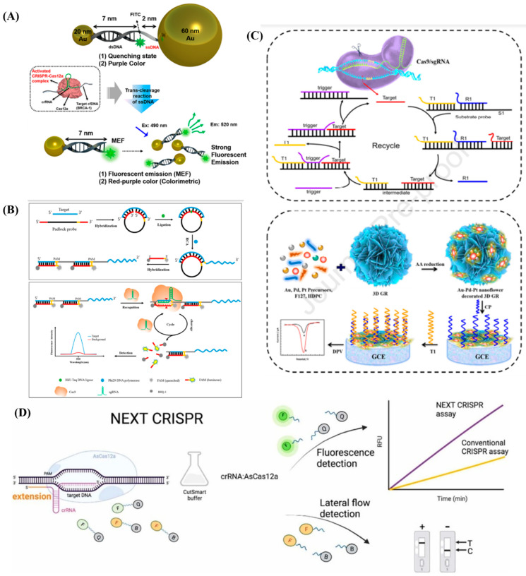 Figure 6