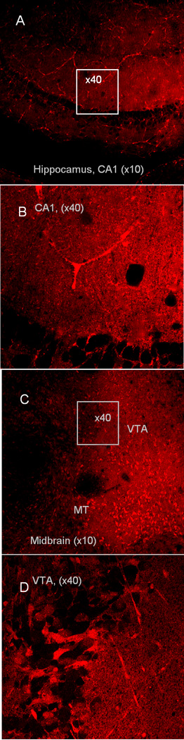 Fig.2