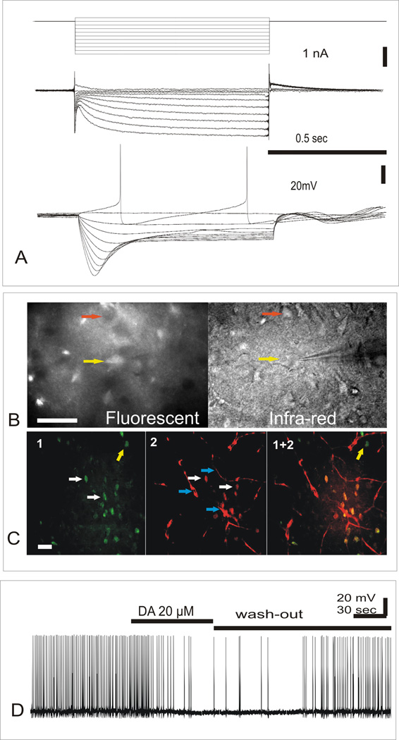 Fig.1