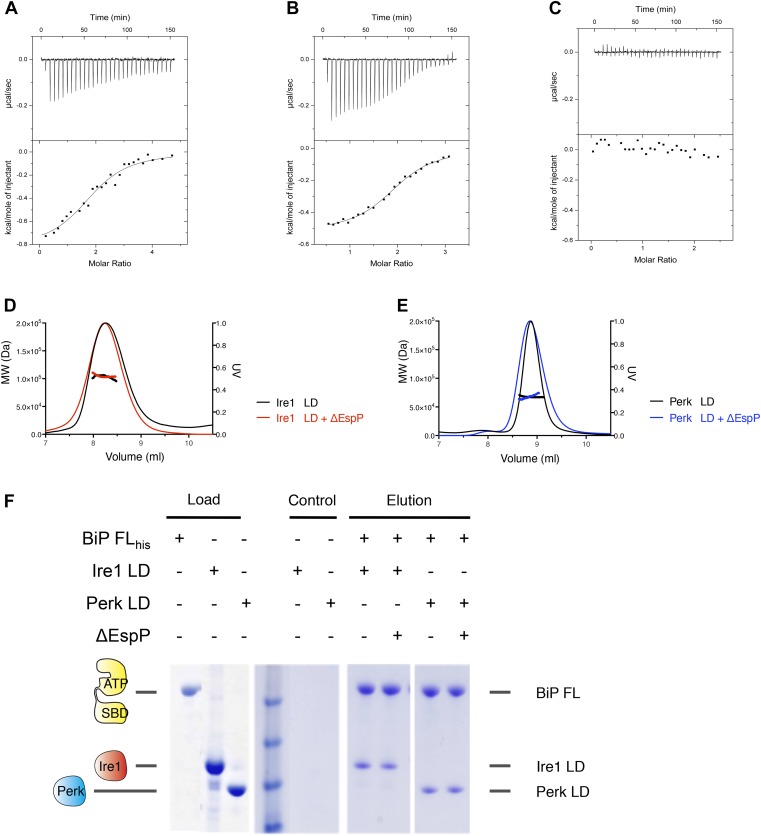 Figure 4—figure supplement 1.