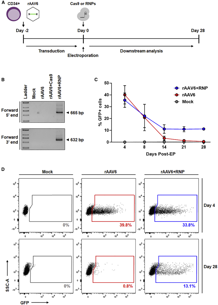 Figure 3