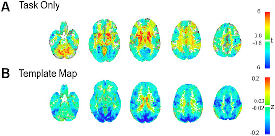 Figure 6—figure supplement 1.