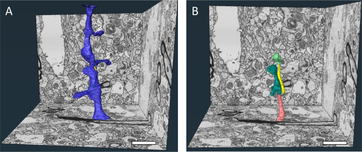 Figure 5.