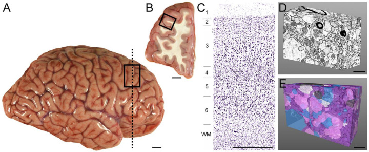 Figure 9.