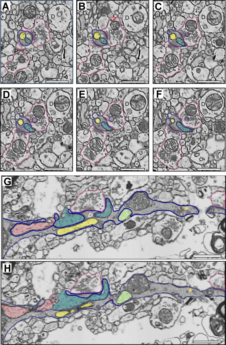 Figure 6.