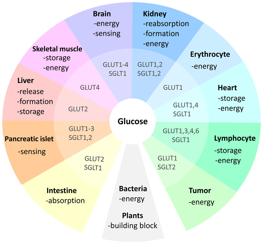 Figure 1: