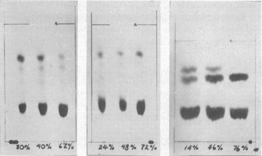 graphic file with name pnas00185-0060-a.jpg