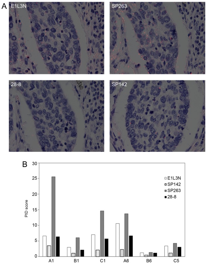 Figure 4.