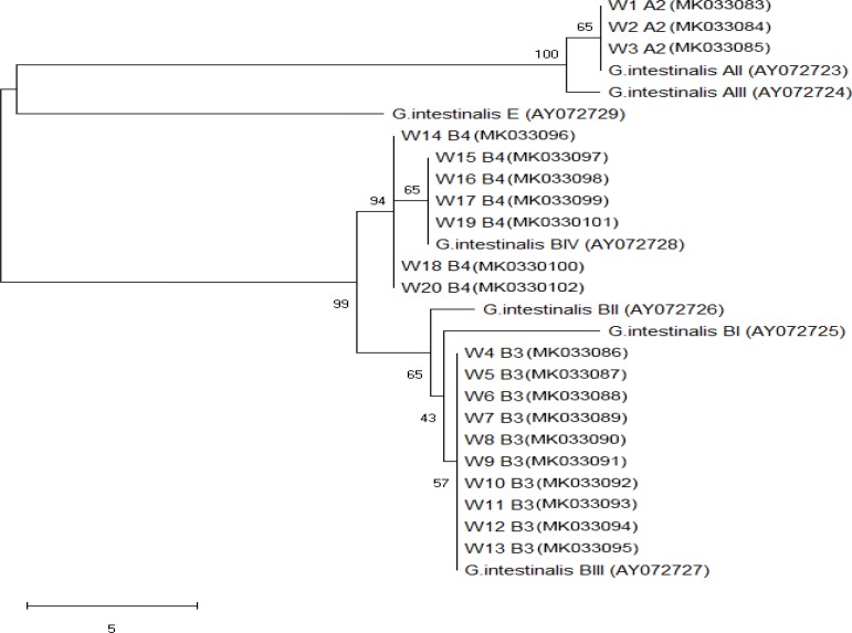 Fig. 2: