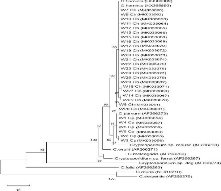 Fig. 1: