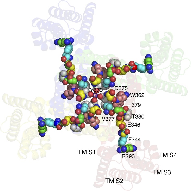 Figure 4.