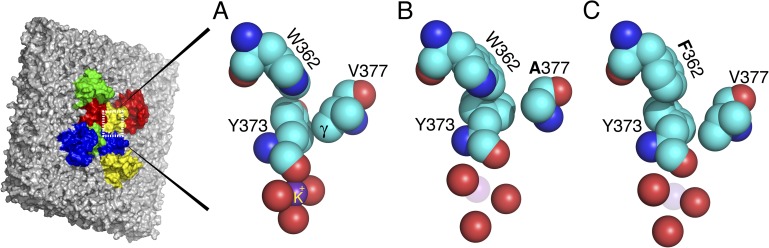 Figure 3.