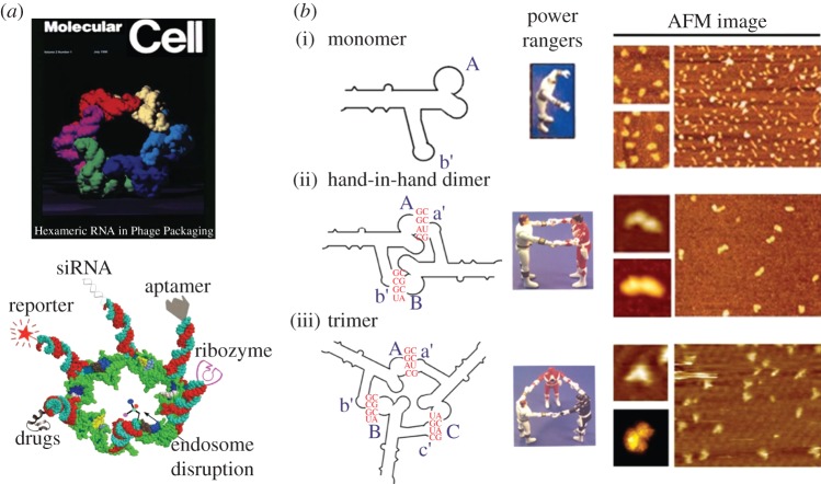 Figure 3.