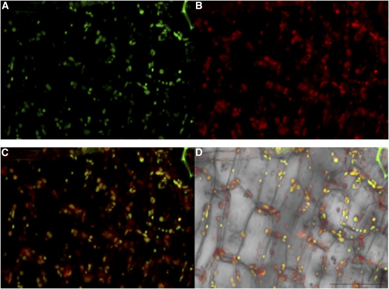 Figure 6.