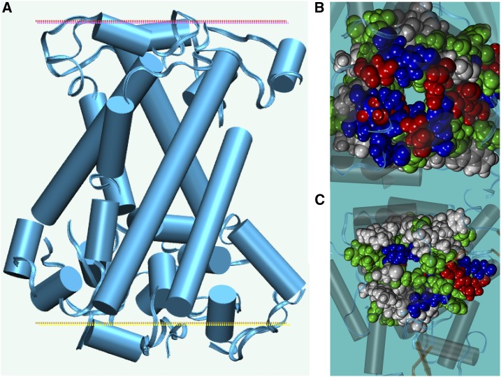 Figure 3.