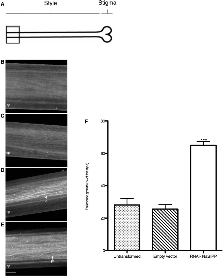 Figure 9.