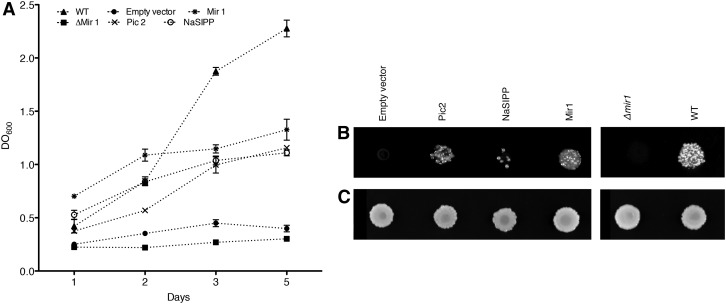 Figure 2.