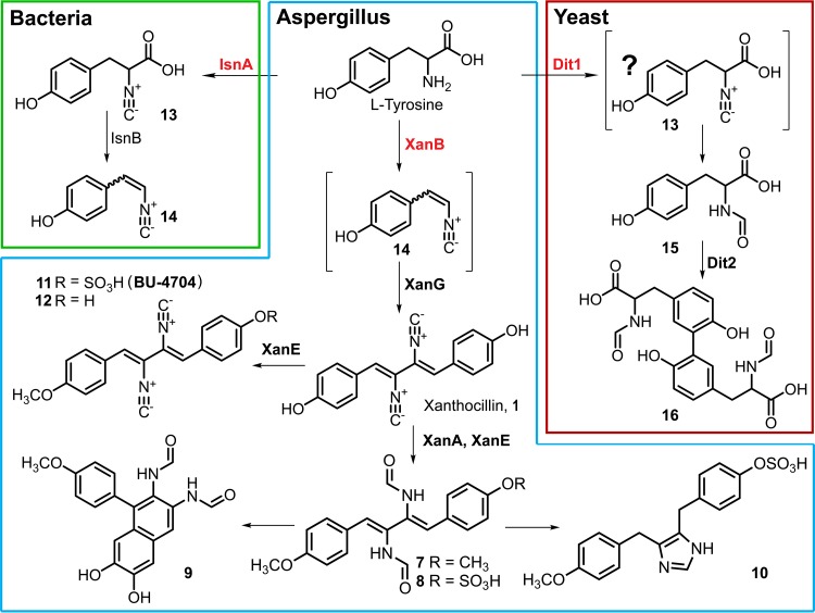 FIG 6 