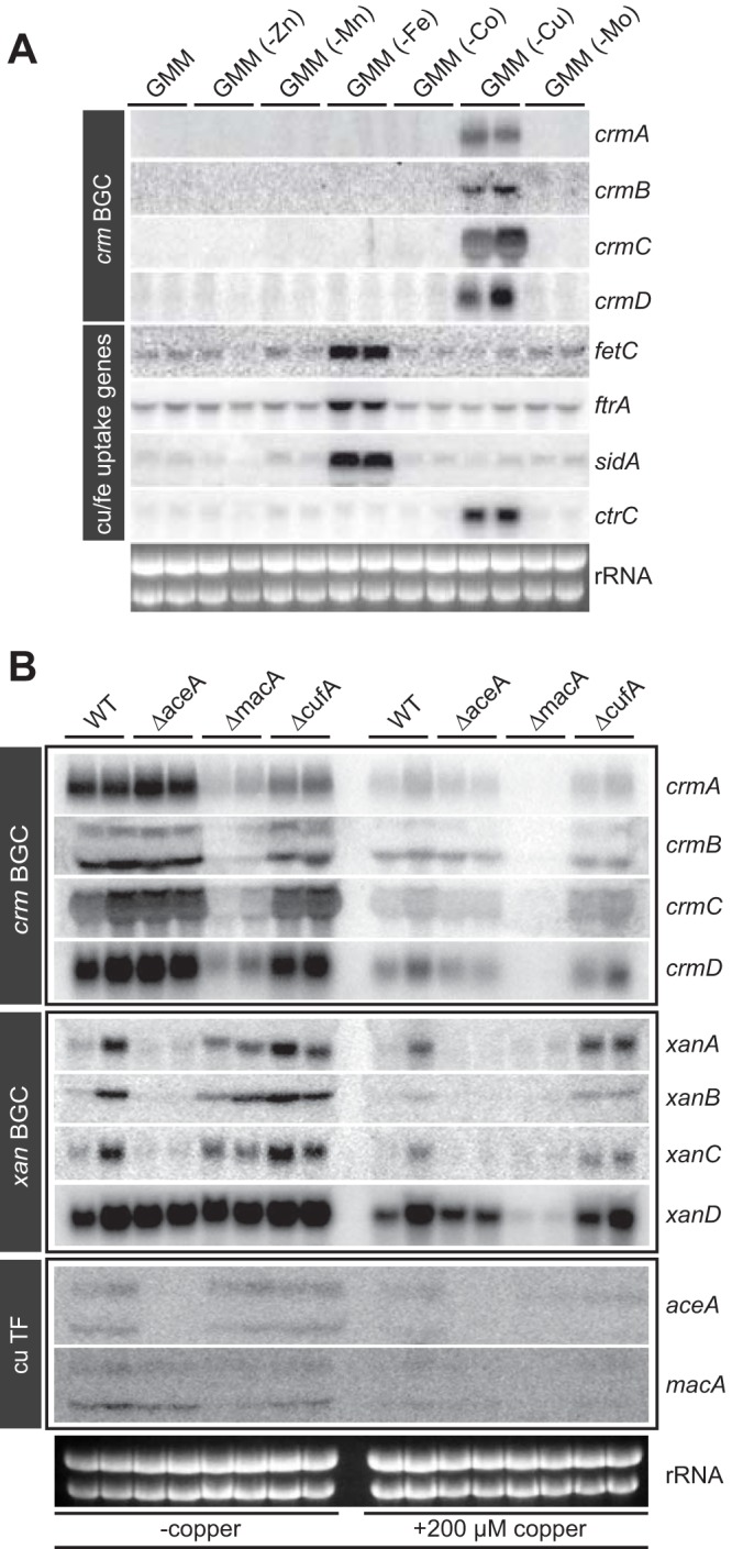 FIG 3 