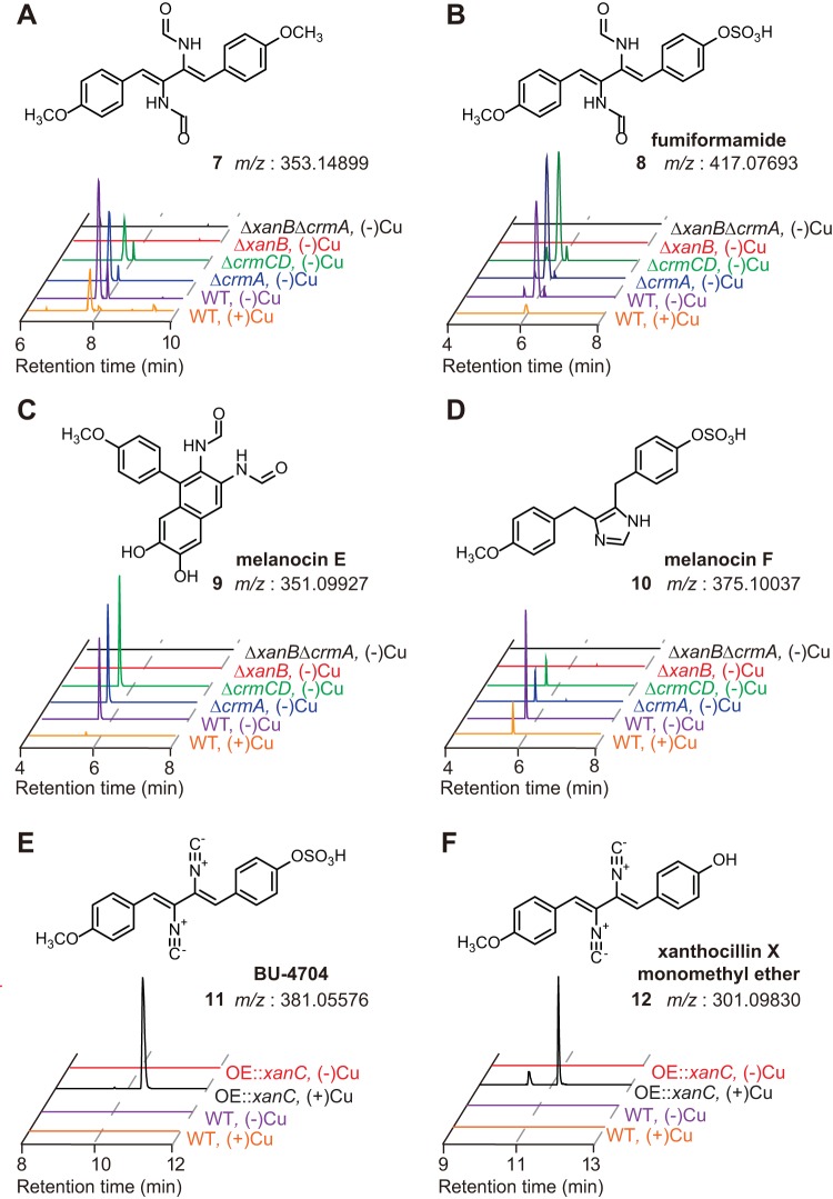 FIG 4 