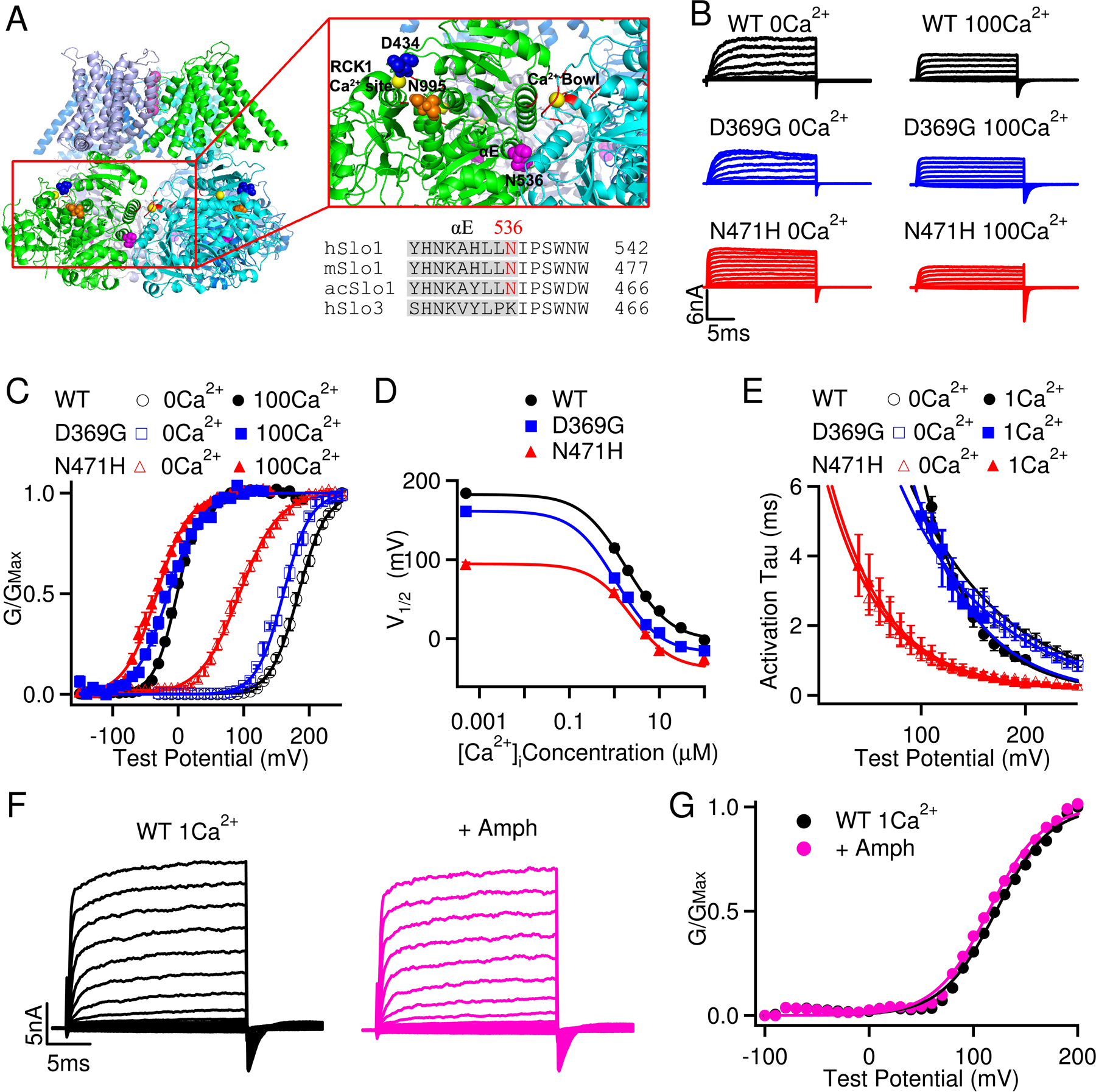 FIGURE 2: