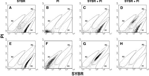 FIG. 1.