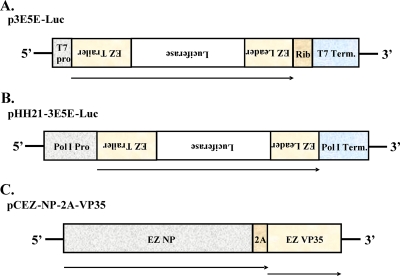 FIG. 1.