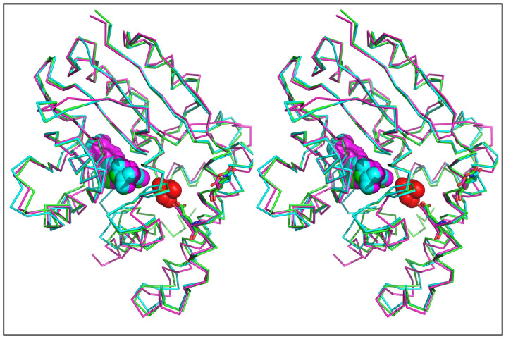 Figure 10