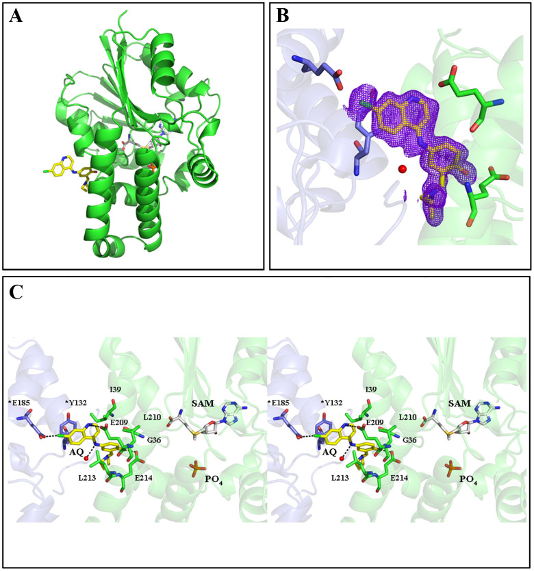 Figure 9