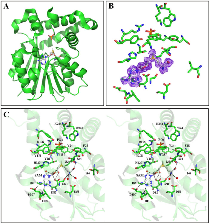 Figure 7