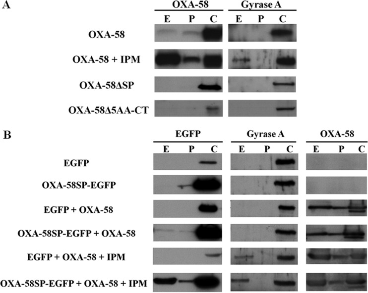 FIG 1