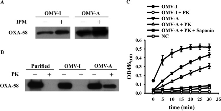 FIG 3