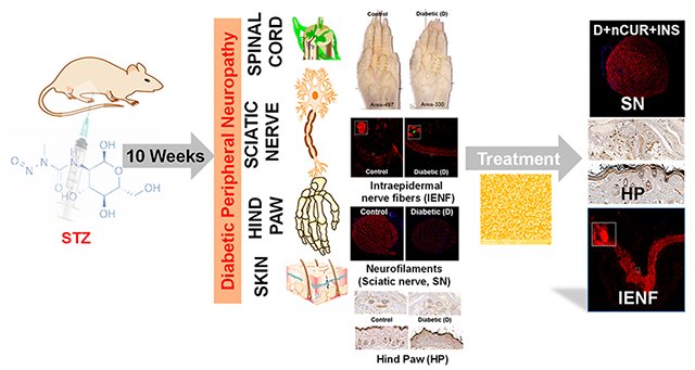 graphic file with name nihms-1873283-f0010.jpg