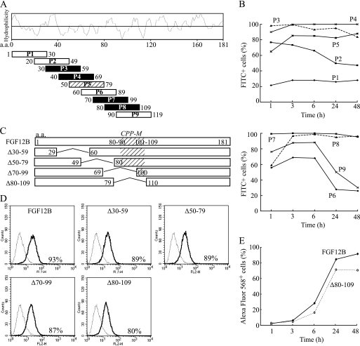 FIGURE 5.