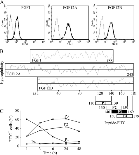 FIGURE 3.