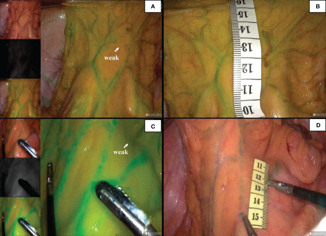 Figure 6